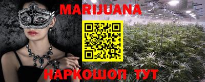 spice Бийск