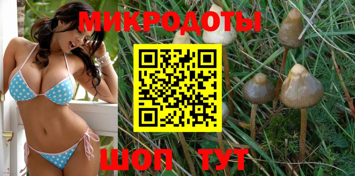 Галлюциногенные грибы Magic Shrooms Губаха