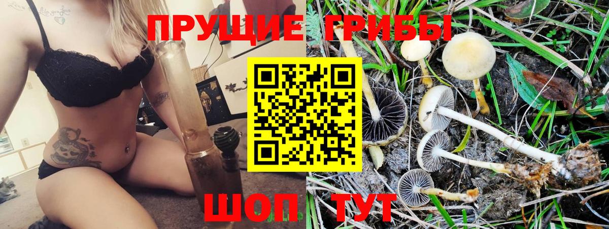 Псилоцибиновые грибы ЛСД  Галлюциногенные грибы MAGIC MUSHROOMS  Вход с VPN  Губаха 